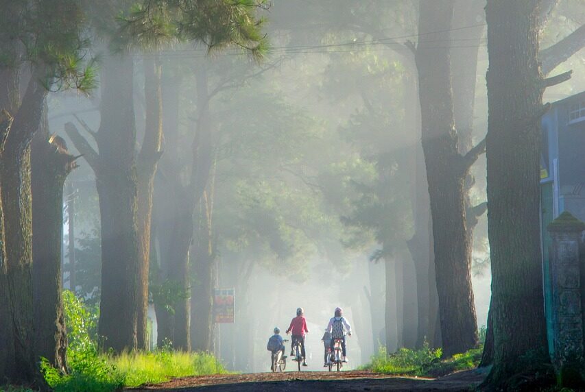 street, trees, exploration, travel, outdoors, forest, mountain, chill, nature, learn, children, treeline