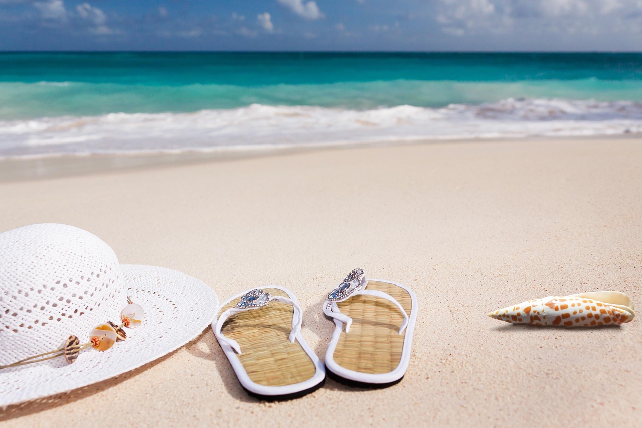 beach, sand, sea, sandy beach, nature, vacations, caribbean, coast, summer, coneflower, flip-flop, shell